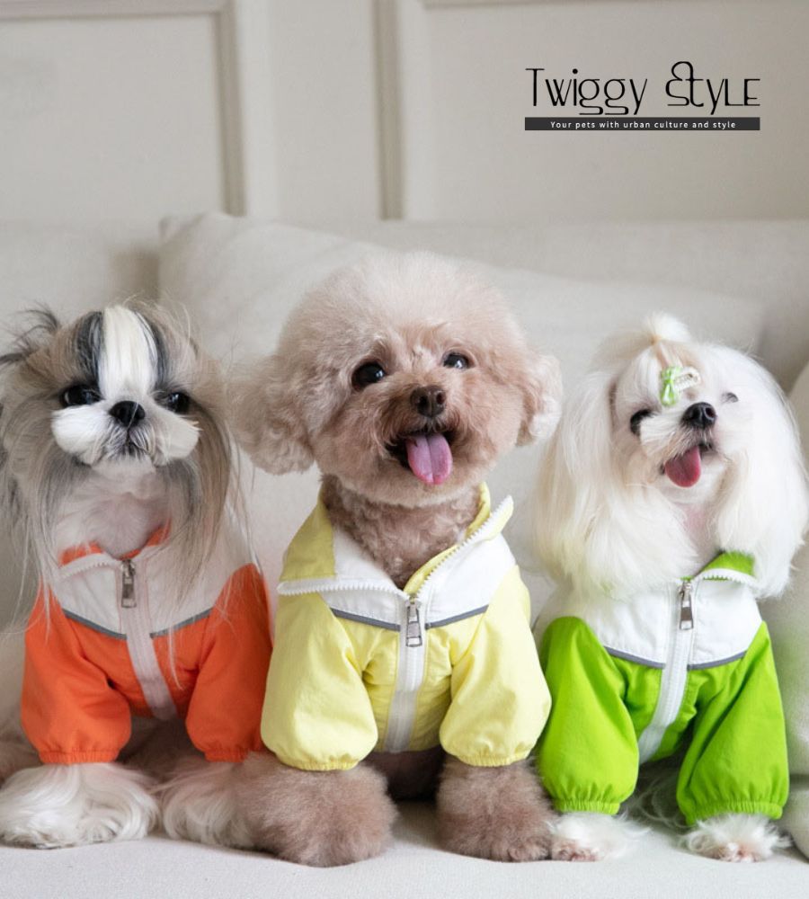Twiggy Style シンプル可愛い犬服 楽天市場店