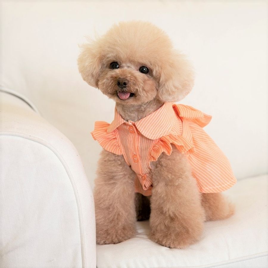 犬服 ドッグウェア ワンピース ドレス 夏 春 プチプラ 69 以上節約 おしゃれ シンプルプチプラ ストライプワンピース かわいい ペット服 夏服 犬の服 春服 可愛い