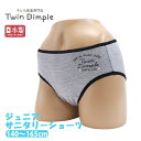【日本製】ウイング対応サニタリー(グレーボーダーワンポ) 140/150/160/165 女の子 生理用ショーツ サニタリーショーツ ジュニア メール便OK