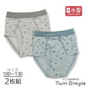 楽天子供肌着専門店 Twin Dimple【日本製】飛行機総柄ブリーフ 2枚組 100/110/120/130 綿100％ キッズ パンツ 男の子 メール便OK