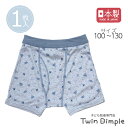 【日本製】 飛行機総柄ボクサーブリーフ (サックス) 100/110/120/130 単品 バラ売り 子供 子ども 男の子 男児 下着 パンツ キッズ 入学 入園 国産