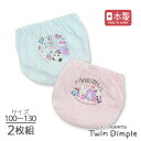 【最大5%OFFクーポン!マラソンSALE開催中 5/16 1:59まで】【日本製】ブロックバイヤスショーツ 2枚組 100/110/120/130 子供 パン...