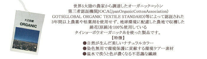 【日本製】男児オーガニック半袖Tシャツ (ワンポイント) 100/110/120/130 キッズ肌着 オーガニックコットン 綿100％ 男の子 アトピー敏感肌 メール便OK