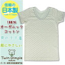 【日本製】 【メール便 OK】 男児オーガニック半袖Tシャツ (イカリ総柄) 100/110/120/130 キッズ 肌着 オーガニックコットン 綿100% アトピー敏感肌男の子