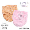 女児 ショーツ 2枚組 チェックうさぎ 綿100% 女児 ジュニアパンツ 100/110/120/130（2501） メール便OK