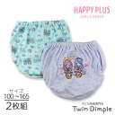 ふんわり女の子ショーツ 2枚組 100/110/120/130/140/150/160/165(9571)綿100% 女児 パンツ ジュニア メール便OK