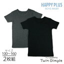 【最大5%OFFクーポン!マラソンSALE開催中 5/16 1:59まで】男児フライス半袖 2枚組 (グレー/黒無地) 100/110/120/130/140/...