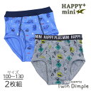働く車柄/恐竜サイン柄ブリーフ 2枚組 100/110/120/130 (4064) 下着 男の子 キッズ パンツ 前開き ブリーフパンツ 男児