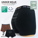 スニーカー柄ボクサーパンツ 2枚組 100/110/120/130/140 綿100% キッズパンツ ボクサーブリーフ 男の子 男児 (4530)