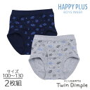 ブリーフパンツ 車柄 綿100% 2枚セット ジュニア 前開き 子供 下着 キッズ パンツ 肌着 男の子用 総柄ブリーフ 100/110/120/130 (30...