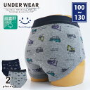 【2025春夏新作】男児ブリーフパンツ(働く車柄/昆虫ロゴ柄) 2枚組 100/110/120/130 (5045) 綿100% 子供 下着パンツ 男の子 キッ...