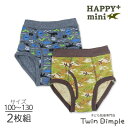 ＼MAXポイント10倍！／【スーパーSALE 12/4 20時スタート！】happy+mini 男児ブリーフ 2枚組 (迷彩飛行機/リアル恐竜柄) 100/110/120/130 (0115/0116) 綿100% ジュニア 男児 肌着 キッズパンツ メール便OK