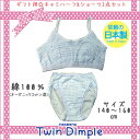 【日本製】【ギフト】【メール便 OK】クローバー総柄キャミハーフ &ショーツセット 肌着 女の子 140/150/160