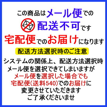 【メール便不可】男児スムース半袖(星柄/ボーダー柄) 　2枚組 100/110/120/130（8529）あったか肌着