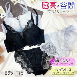 ミッシェル ブラ・ショーツセット 【1点までメール便発送可能】Gi la seeミッシェル【脇高カシュクール総レース】ソフトワイヤーブラ＆ショーツセット【B65・B70・B75・C65・C70・C75・D65・D70・D75・E65・E70・E75・F65・F70・F75】【脇肉】【ブラック】【ラベンダー】