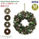 XpCX SPICE i`[X MTCY [X NX}X Xmas