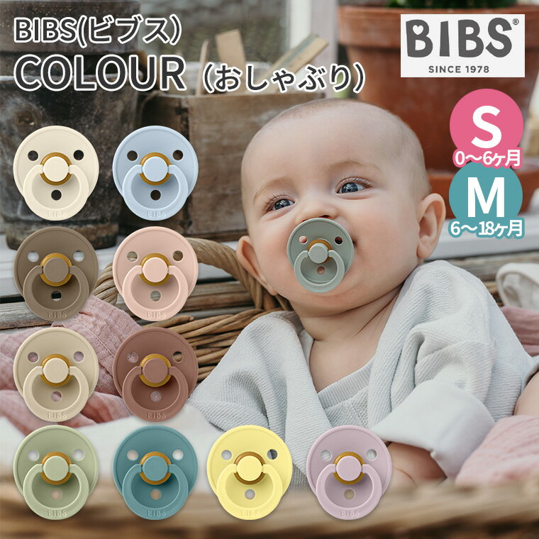 BIBS ビブス COLOUR おしゃぶり 赤ちゃん