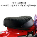 TWR 製 ハンターカブ CT125 用 2cm ローダウン シート カスタム パイピング シート ブラック 黒 HONDA ハンターカブ カスタム パーツ カスタムシート カブシート 外装 シート シート本体 バイク用品 バイクシート カブシート 全年式モデル対応