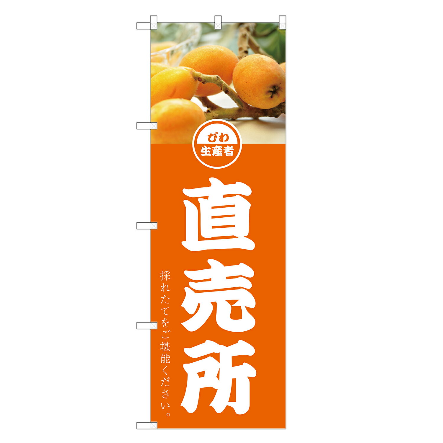 のぼり旗 びわ 直売所 のぼり | 枇杷 ビワ 果物 フルーツ | 四方三巻縫製 F24-0309C