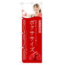 のぼり旗 ボクササイズ のぼり | ボクシング フィットネス ジム | 四方三巻縫製 S03-0043C