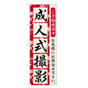 のぼり旗 成人式撮影 のぼり | 写真 撮影 記念 | 四方三巻縫製 S06-0012A