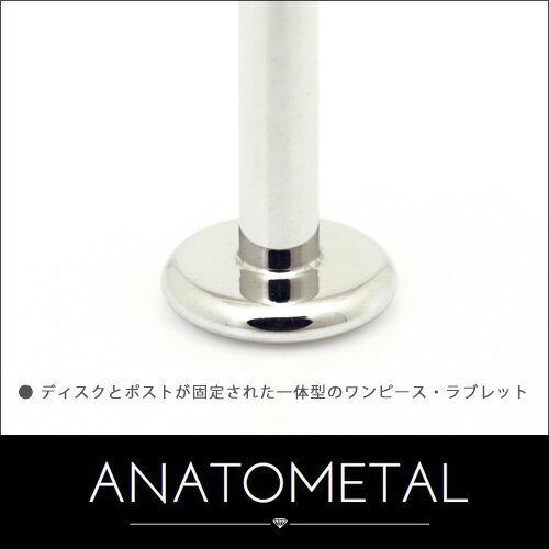 【正規直輸入品】ステンレス・ワンピース・ラブレット・ポスト単品18Ga.ANATOMETALアナトメタルボディピアスシャフトパーツディスク一体型内ネジ式18g