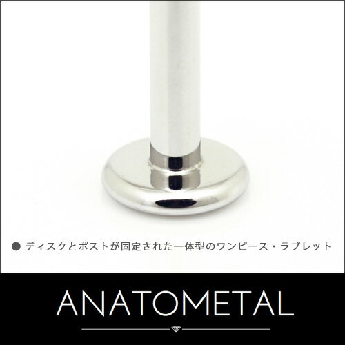 ANATOMETAL『ステンレス・ワンピース・ラブレット』