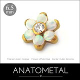 6.5mm  ե ԥ ñ ANATOMETAL ֥ꥢȥå & ֤Ӥ顧ܥ󥫥åȥ ܥǥԥ ѡ å 󥿡ʥ꡼ С٥ͥ 18g 16g 14g 12g ѡƹ񥢥ʥȥ᥿ľ͢ʡ