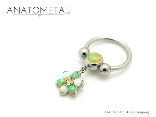 【その他カスタム商品】のお見積もり依頼 ANATOMETAL 【その他カスタム商品】のお見積もり依頼 ANATOMETAL