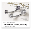 14Ga. チタン製 LARGE ベゼル ネイブルカーブス ANATOMETAL
