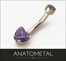 14Ga. ステンレス製 ハート ネイブルカーブス ANATOMETAL