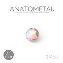 2.5mm プロングカボション ジェムエンド 単品 ANATOMETAL