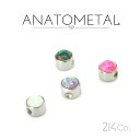 4.75mm チタン製 カボション ジェムベゼル 3/16" 単品 ANATOMETAL