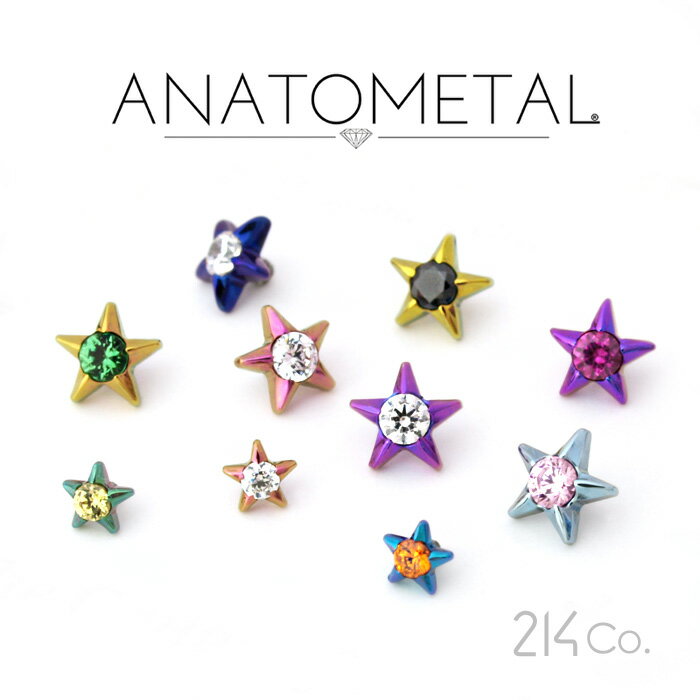 チタン製 ジェムスターエンド 単品 ANATOMETAL