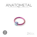 18Ga. チタン製 キャプティブリング & チタン製 カボション ジェムベゼル (1/8") ANATOMETAL