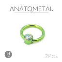 14Ga. チタン製 キャプティブリング & チタン製 カボション ジェムベゼル (3/16") ANATOMETAL