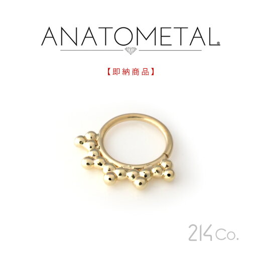 18金 イエローゴールド サブリナ リング 18Ga. 5/16" ANATOMETAL 18金 イエローゴールド サブリナ リング 18Ga. 5/16" ANATOMETAL