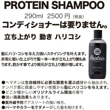 DENIS デニス シャンプー ボトル PROTEIN SHAMPOO プロテインシャンプー 290ml MADE IN TOKYO 消臭効果 抗酸化抗炎症 紫外線予防メンズ レディース ユニセックス サーフィン マリンスポーツあす楽!