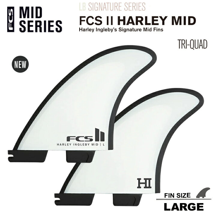 fcs2-fin-hitq1.jpg fcs2-fin-hitq1.jpg