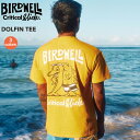 TCSS R{TVc -CRITICAL SLIDE~BIRDWELL COLLABORATION- DOLFIN TEE NeBJXCh x o[hEF TVc  T[tB [֑