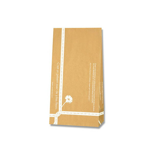 HEIKO 紙袋 角底袋 No.4 ルバン 100枚