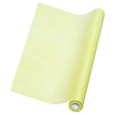 HEIKO フラワーラップ 23 マスカット 幅65cm×20m巻 1本