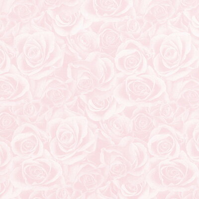 HEIKO  Ⱦ 쥤ե ԥ 50