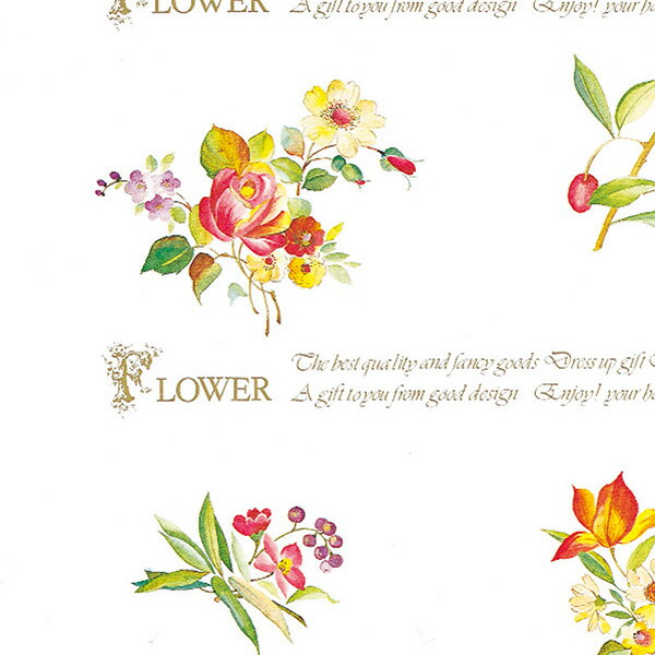 HEIKO ե Ⱦ åե 50