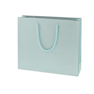 HEIKO 紙袋 カラーチャームバッグ 3才 ミズ 10枚