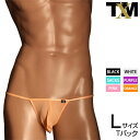 NewT2M2 マイクロトリム TB Lsize　メンズ　Tバック　下着　パンツ　アンダーウェア