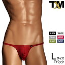 NewT2M2 ハイレグスタイル TB Lsize　メンズ　Tバック　下着　パンツ　アンダーウェア