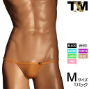 GMF ウエストバインダーすっきり TB メンズ Tバック 下着 パンツ アンダーウェア
