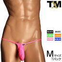 WET Mountain Bulge TB NEON メンズ Tバック 下着 パンツ アンダーウェア【TMコレクション】