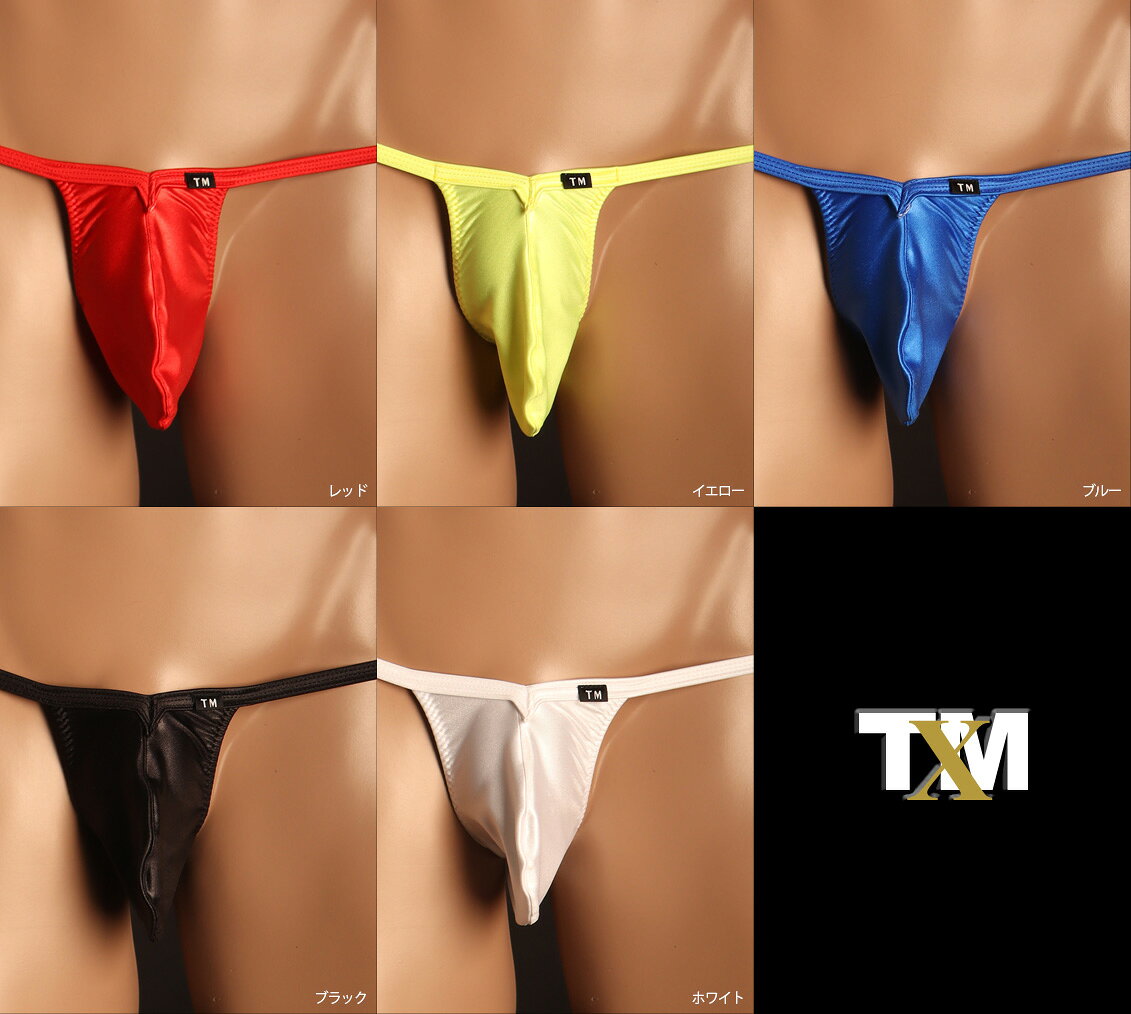WET V-cut Sharp TB Bikini Lsize����󥺡�T�Хå������塡�ѥ�ġ����������������TM���쥯������